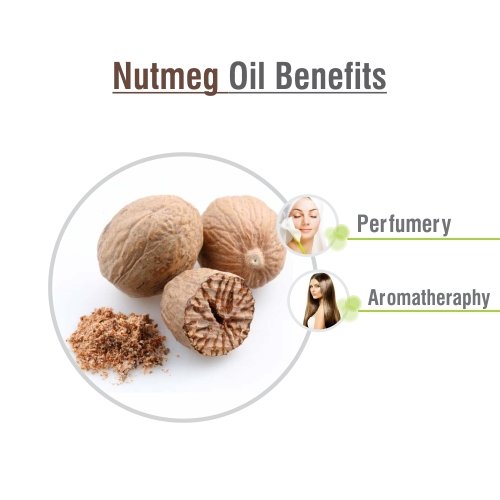 Motiza - Muskatnødolie - 30ml