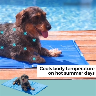 Afkølende Måtte til Kæledyr